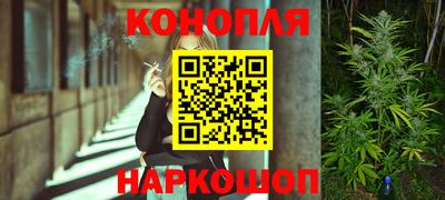 гидропоника Будённовск