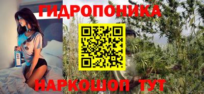 индика Бузулук